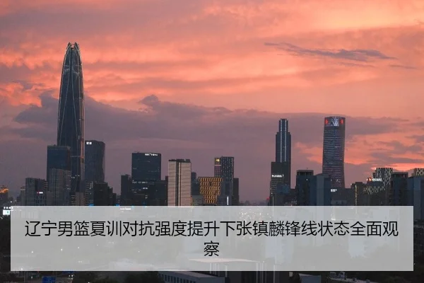 辽宁男篮夏训对抗强度提升下张镇麟锋线状态全面观察